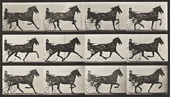 EADWEARD MUYBRIDGE (1830-1904) A selection of 4 plates representing horses from Animal Locomotion. 1887.